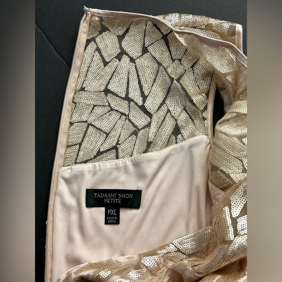 TADASHI SHOJI Illusion Geometric Sequin Sleeveless Dress Beige Size PXL NEW w/T - Picture 5 of 7